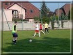 Sportowe miowice…