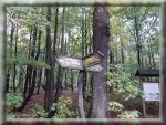 Wycieczka do Tarnowskich Gr