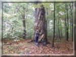 Wycieczka do Tarnowskich Gr