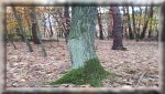 Padziernik w wietlicy