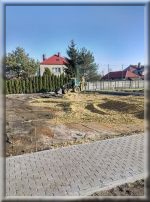 Parking przy ul. Jesionowej