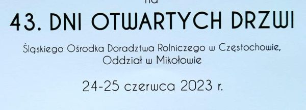 Dni Otwrtych Drzwi (21 kB)