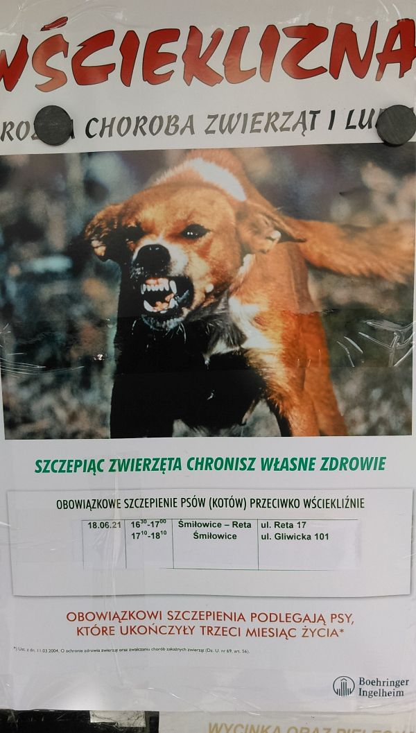 Szczepienie psw(130 kB)